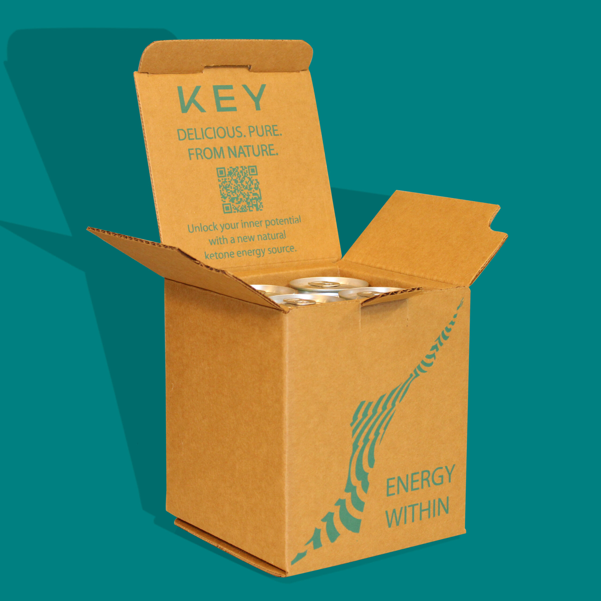 4 pack can shipping boxes custom printed